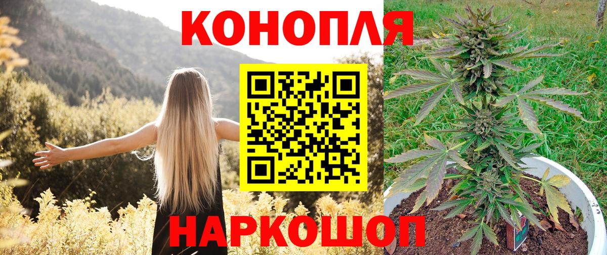 Волгоград  Бошки марихуана индика  Бошки Шишки White Widow  Конопля SATIVA & INDICA  Вход с VPN 